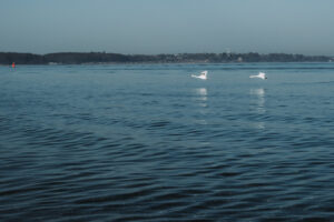 Meine Wohlfühloase: Laboe