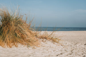 Meine Wohlfühloase: Laboe